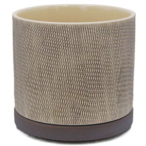 Aؔ  ۟䐻/4.5 V_[ Mt/RY-7314-FMPy01z K[fjOE|pi t[|bg EZ~bN