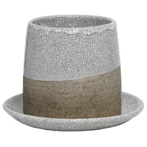 Aؔ  ۟䐻/2.5 ې[` Mt/MSK-01-KWy01z K[fjOE|pi t[|bg EZ~bN