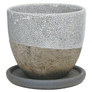 Aؔ  ۟䐻/3 ې[ Mt/MSK-03-KWy01z K[fjOE|pi t[|bg EZ~bN