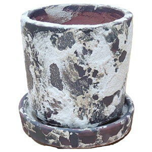 Aؔ  ۟䐻/4 V_[ Mt/HA-4381S-BAy01z K[fjOE|pi t[|bg EZ~bN