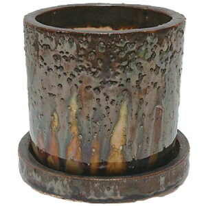 Aؔ  ۟䐻/4 V_[ Mt/HA-4381S-GMy01z K[fjOE|pi t[|bg EZ~bN