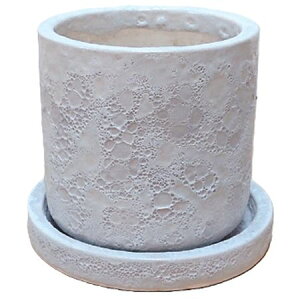 Aؔ  ۟䐻/4 V_[ Mt/HA-4381S-WBy01z K[fjOE|pi t[|bg EZ~bN