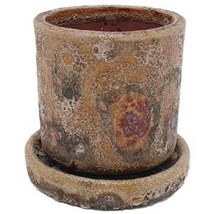 Aؔ  ۟䐻/4 V_[ Mt/HA-4381S-YMy01z K[fjOE|pi t[|bg EZ~bN