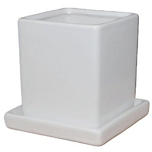 Aؔ  ۟䐻/3.5 L[u^ Mt/DOL-01-WHcy01z[6] K[fjOE|pi t[|bg EZ~bN