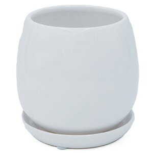 Aؔ  ۟䐻/4 ڌ^ Mt/DOL-02-WHcy01z[6] K[fjOE|pi t[|bg EZ~bN