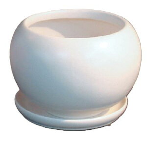 Aؔ  ۟䐻/4.5 ی`{[ Mt/QDA-116-WHy01z[6] K[fjOE|pi t[|bg EZ~bN