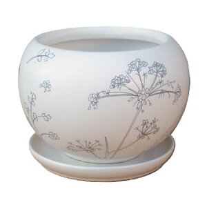 Aؔ  ۟䐻/4.5 ی`{[ Mt/QDA-116-FLy01z[6] K[fjOE|pi t[|bg EZ~bN