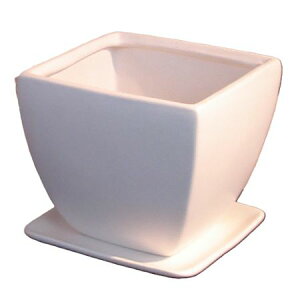 Aؔ  ۟䐻/4.5 p Mt/QDA-133-WHy01z[6] K[fjOE|pi t[|bg EZ~bN