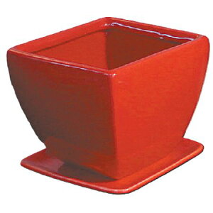 Aؔ  ۟䐻/4.5 p Mt/QDA-133-REDy01z[6] K[fjOE|pi t[|bg EZ~bN