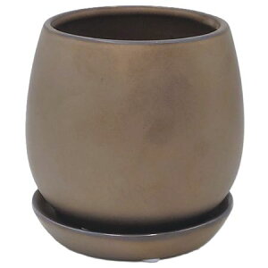 Aؔ  ۟䐻/4 ڌ^ uY Mt/QDA-40ZEy01z[6] K[fjOE|pi t[|bg EZ~bN