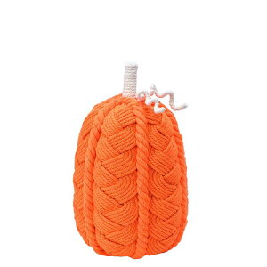 yΖӃZ[zGREENHOUSE/jbgpvL P[u҂/HW706y01z X܃fBXvCEX nEBfBXvC uEIuWF