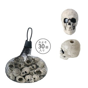 yΖӃZ[zGREENHOUSE/~jXJp[c/HW700y01z[2] X܃fBXvCEX nEBfBXvC uEIuWF