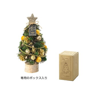 GREENHOUSE/CMi`c[IuWF M C/CM1721-By01z X܃fBXvCEX NX}XfBXvC NX}Xc[