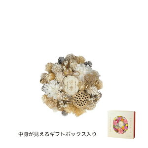 GREENHOUSE/NYWplXN[X S /NY510-Dy01z ԊA[X ߓE ߓꃊ[Xi