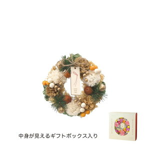 GREENHOUSE/NYWplXN[X S 2025/NY513-Dy01z ԊA[X ߓE ߓꃊ[Xi