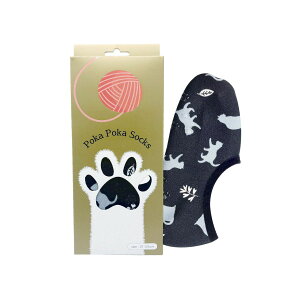 ۘaf/ۂۂLbgMtg{bNX V[g K[fLbg BK/2103966-1y07z[6] X܃fBXvCEX G t@bV