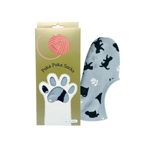 ۘaf/ۂۂLbgMtg{bNX V[g K[fLbg GY/2103966-2y07z[6] X܃fBXvCEX G t@bV