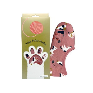 ۘaf/ۂۂLbgMtg{bNX V[g W~PlR sN/2103966-6y07z[6] X܃fBXvCEX G t@bV