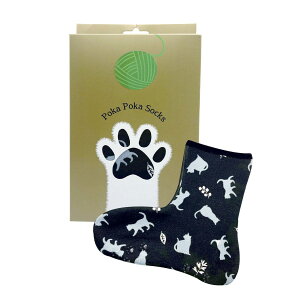 ۘaf/ۂۂLbgMtg{bNX AN K[fLbg BK/2103967-1y07z[3] X܃fBXvCEX G t@bV