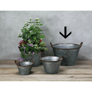 GC`c[I[/AeB[NT[NLLL/HT6515y01z[4] K[fjOE|pi AؔEt[|bg ACAEuL