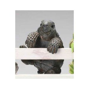 GC`c[I[/~jnMO@J/HH8233y01z[2] K[fjOE|pi K[fjOG݁EI[ig uEI[ig