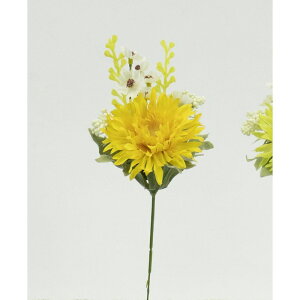 yԁzr_R/~bNXK[xsbN CG[/FD3171-004Yy01z[36{] ԁiA[eBtBVt[j  ԍށusv K[x