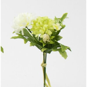 yԁzr_R/cC{[}sbN O[/V25090-024Gy01z[36{] ԁiA[eBtBVt[j  ԍށusv LNiejEs|}