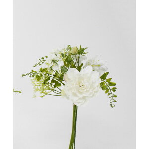 yԁzr_R/GKgsIj[ zCg/V25038-001Wy01z[12] ԁiA[eBtBVt[j  ԍށusv VNNi䉖jE{^iOjEsIj[