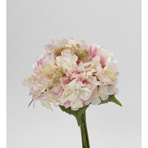 yԁzr_R/sIj[t~bNXu[P sN/V24047-002Py01z[6] ԁiA[eBtBVt[j  ԍށusv VNNi䉖jE{^iOjEsIj[