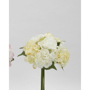 yԁzr_R/sIj[t~bNXu[P CG[/V24047-004Yy01z[6] ԁiA[eBtBVt[j  ԍށusv VNNi䉖jE{^iOjEsIj[