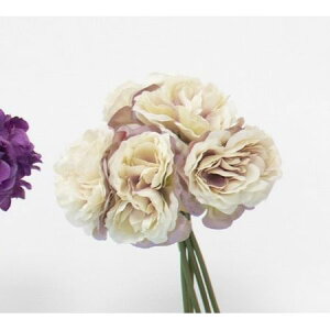 yԁzr_R/[Yoh(5{/) x_[/Z0099-011Ly01z[12] ԁiA[eBtBVt[j  ԍށu͍sv o