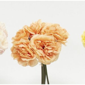 yԁzr_R/[Yoh(5{/) s[`/Z0099-006PEAy01z[12] ԁiA[eBtBVt[j  ԍށu͍sv o