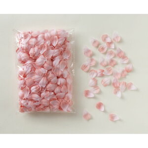 yԁzr_R/̉Ԃт(1000/) sN/T0193-002Py01z[12] ԁiA[eBtBVt[j  ԍށusv ij