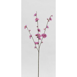 yԁzr_R/ԓ zbg/sN/V23089-052HT/Py01z[24{] ԁiA[eBtBVt[j  ԍށu܍sv ij