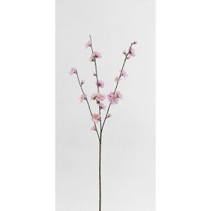 yԁzr_R/ԓ sN/V23089-002Py01z[24{] ԁiA[eBtBVt[j  ԍށu܍sv ij