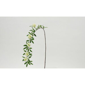 yԁzr_R/ł܂ zCg/V24039-001Wy01z[12{] ԁiA[eBtBVt[j  ԍށusv Rf}