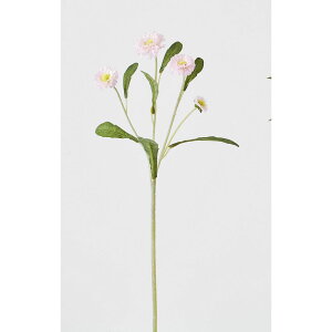 yԁzr_R/qiMN sN/F5017-002Py01z[12{] ԁiA[eBtBVt[j  ԍށusv f[W[