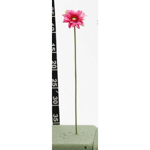 yԁzr_R/V[gK[x r[eB/F3723-016BTYy01z[24{] ԁiA[eBtBVt[j  ԍށusv K[x