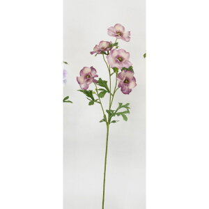 yԁzr_R/o^tCiLX [u/V25013-042MAUy01z[12{] ԁiA[eBtBVt[j  ԍށusv iLX