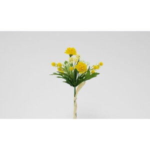 yԁzr_R/~U||oh ~bNX/V25025-055MIXy01z[24] ԁiA[eBtBVt[j  ԍށu܍sv ~U