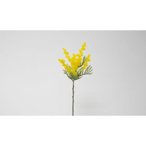 yԁzr_R/~U CG[/V25033-004Yy01z[24{] ԁiA[eBtBVt[j  ԍށu܍sv ~U