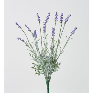 yԁzr_R/x_[ubV x_[/V23017-011Ly01z[24{] ԁiA[eBtBVt[j  ԍށusv x_[