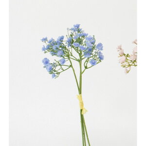 yԁzr_R/Wv\oh(3{/) u[/V24098-005By01z[24] ԁiA[eBtBVt[j  ԍށusv ݑ