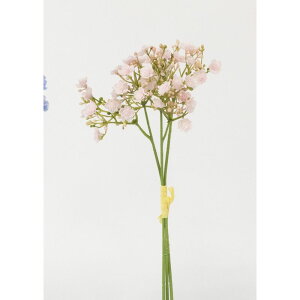 yԁzr_R/Wv\oh(3{/) sN/V24098-002Py01z[24] ԁiA[eBtBVt[j  ԍށusv ݑ