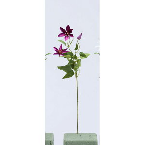 yԁzr_R/ebZ p[v/V24142-017PPy01z[12{] ԁiA[eBtBVt[j  ԍށusv N}`X