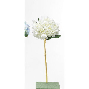 yԁzr_R/nChWA zCg/T0245-001Wy01z[12{] ԁiA[eBtBVt[j  ԍށusv izԁj