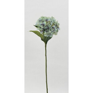 yԁzr_R/JXnChWA O[/V24032-024Gy01z[6{] ԁiA[eBtBVt[j  ԍށusv izԁj