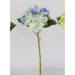 yԁzr_R/nChWA u[/V25042-005By01z[24{] ԁiA[eBtBVt[j  ԍށusv izԁj