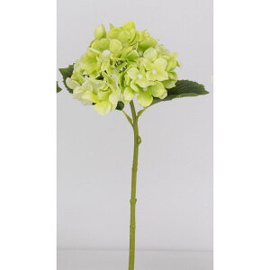 yԁzr_R/nChWA O[/V25042-024Gy01z[24{] ԁiA[eBtBVt[j  ԍށusv izԁj