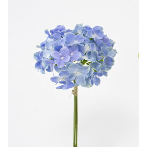 yԁzr_R/̑(3{/) u[/V25046-005By01z[12{] ԁiA[eBtBVt[j  ԍށusv izԁj